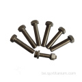 Hexagon Bolts Titanium din933